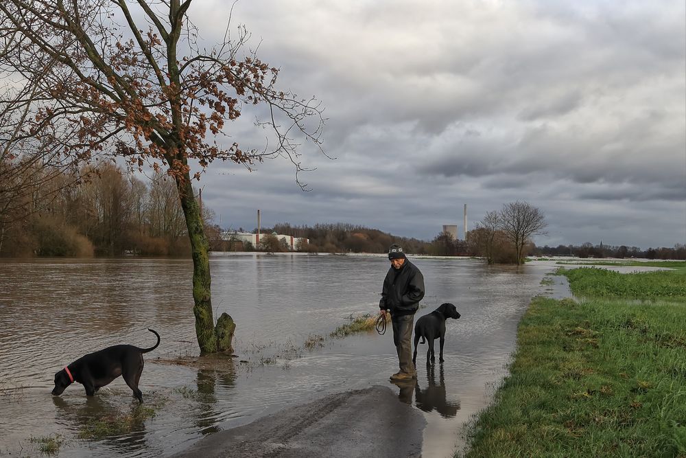 Hochwasser führt die Weser