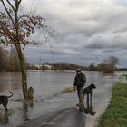 Hochwasser führt die Weser