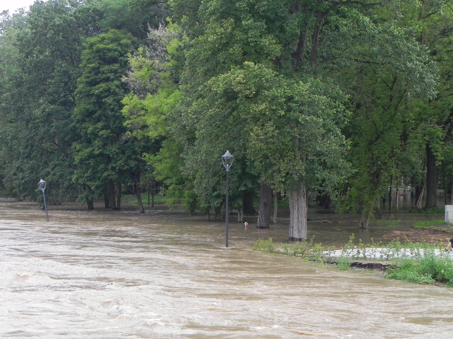 Hochwasser Guben/Gubin