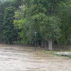 Hochwasser Guben/Gubin