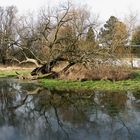 Hochwasser- Hannover Ricklingen