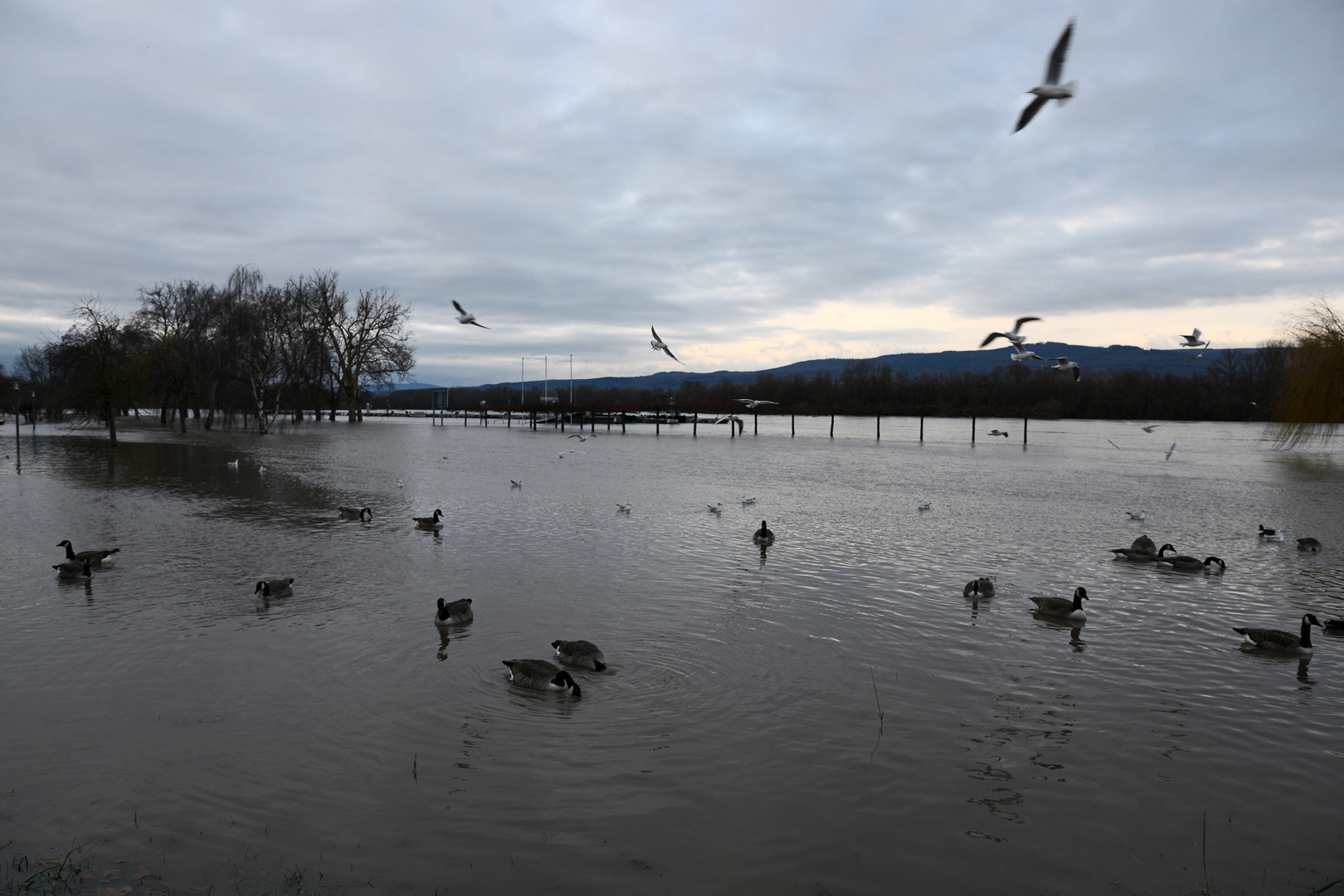 Hochwasser I