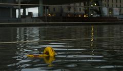 Hochwasser I 15.1.11