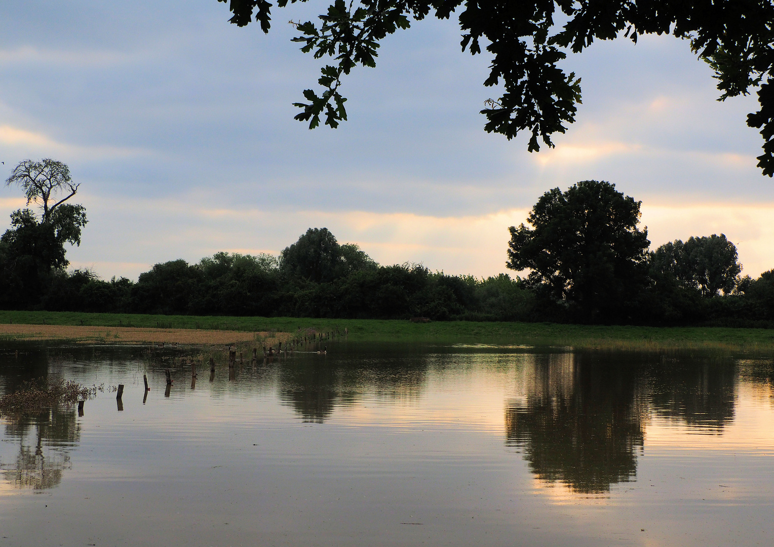 Hochwasser Idylle …