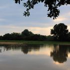 Hochwasser Idylle …