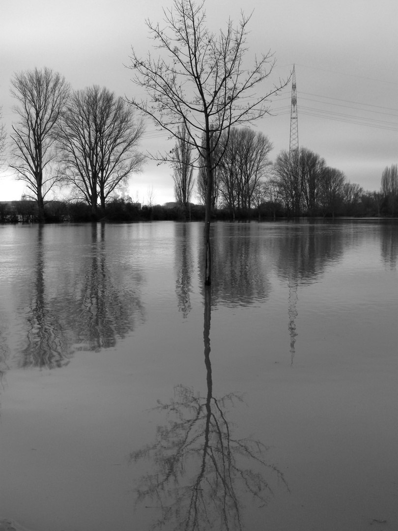 Hochwasser III