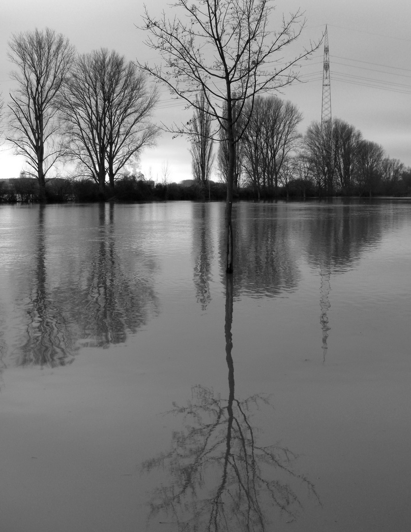 Hochwasser III, Version 2