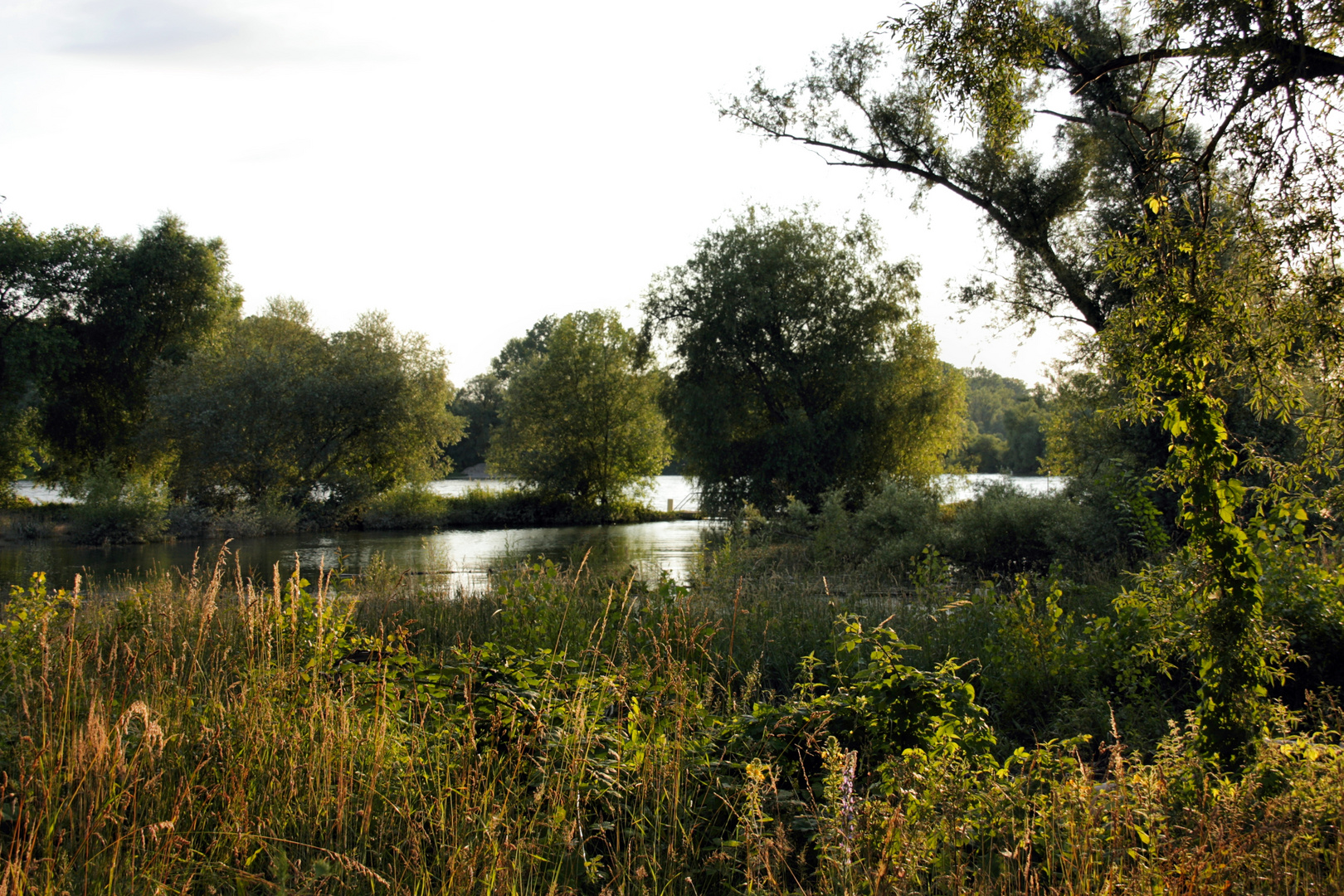 Hochwasser im Abendlicht