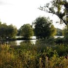 Hochwasser im Abendlicht