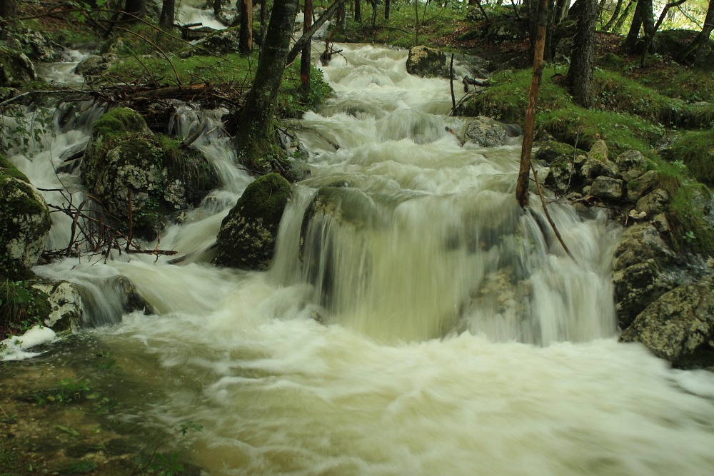 Hochwasser im Auslauf der Govic Cave01