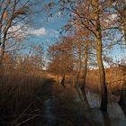 Hochwasser im Bruch