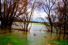 Hochwasser im Düsseldorfer Hafen 2