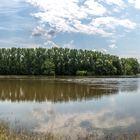 Hochwasser im Elbe Saale Winkel