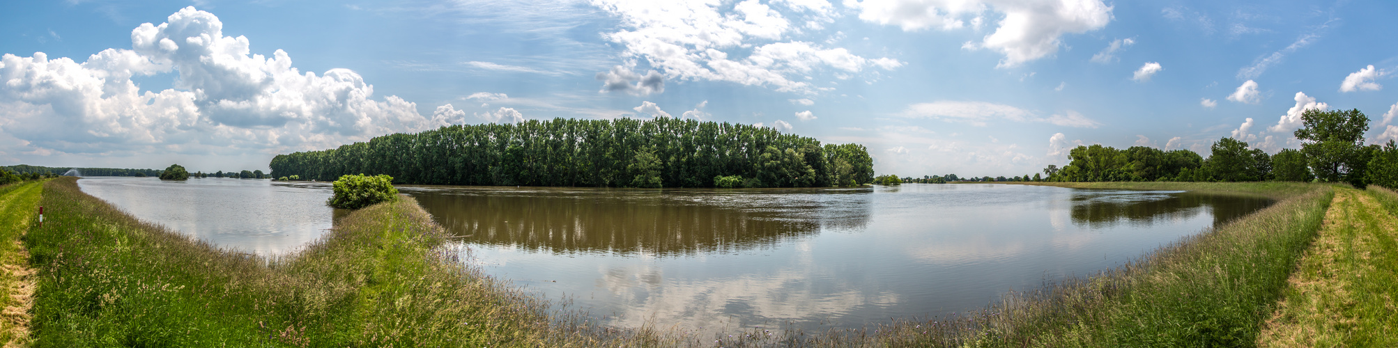 Hochwasser im Elbe Saale Winkel