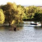 Hochwasser im Freibad