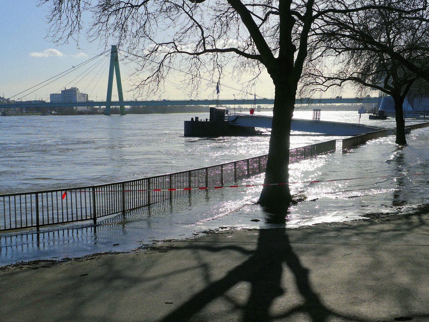 Hochwasser im Gegenlicht