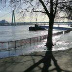 Hochwasser im Gegenlicht