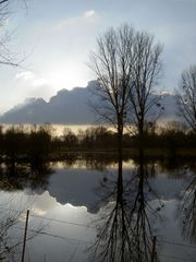 Hochwasser im Gegenlicht