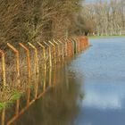 Hochwasser im Grind     Spiegeltag