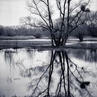 Hochwasser im Grosswoerth