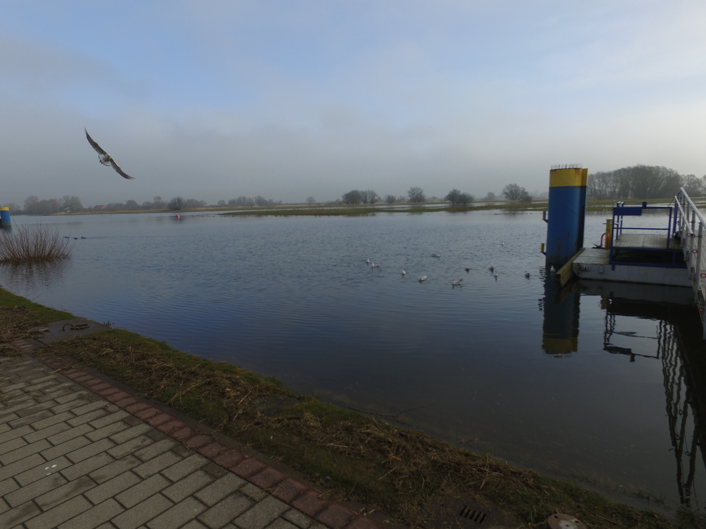 Hochwasser im Herbst am Bleckeder Hafen