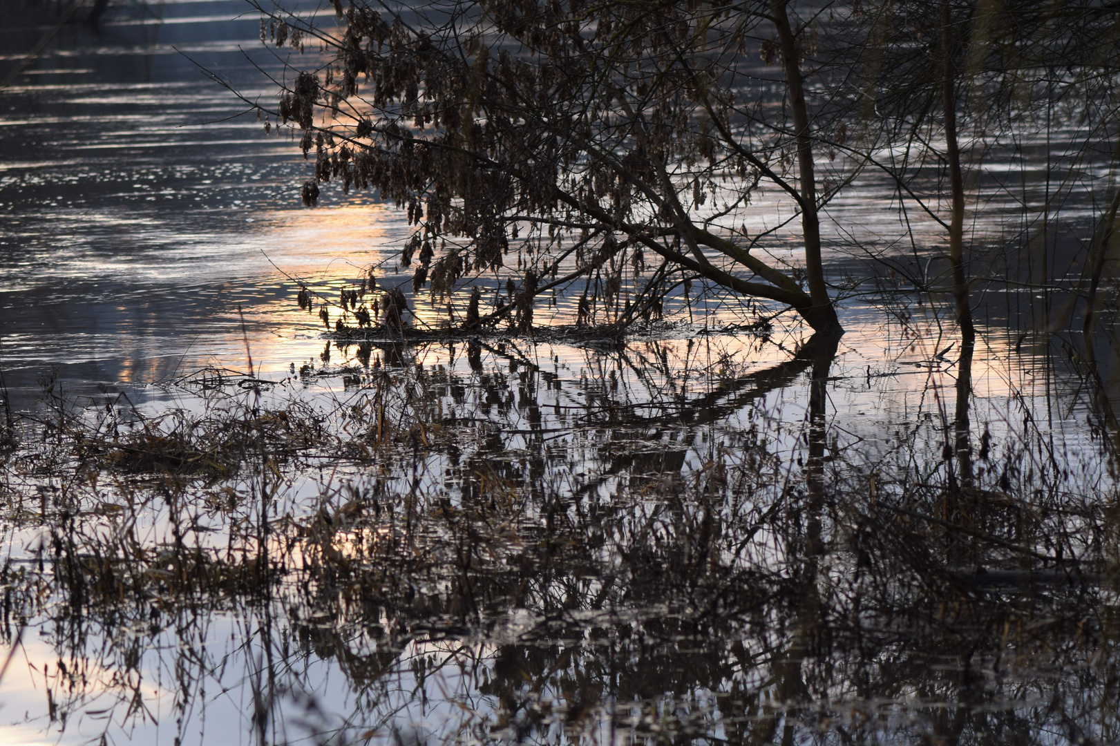 Hochwasser im Himmelreich ........