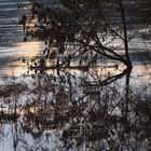 Hochwasser im Himmelreich ........