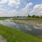 Hochwasser im Juni 2013 bei Stockstadt