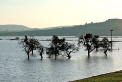 Hochwasser im Leinepolder bei Salzderhelden.