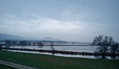 Hochwasser im Leinepolder bei Salzderhelden / Einbeck.