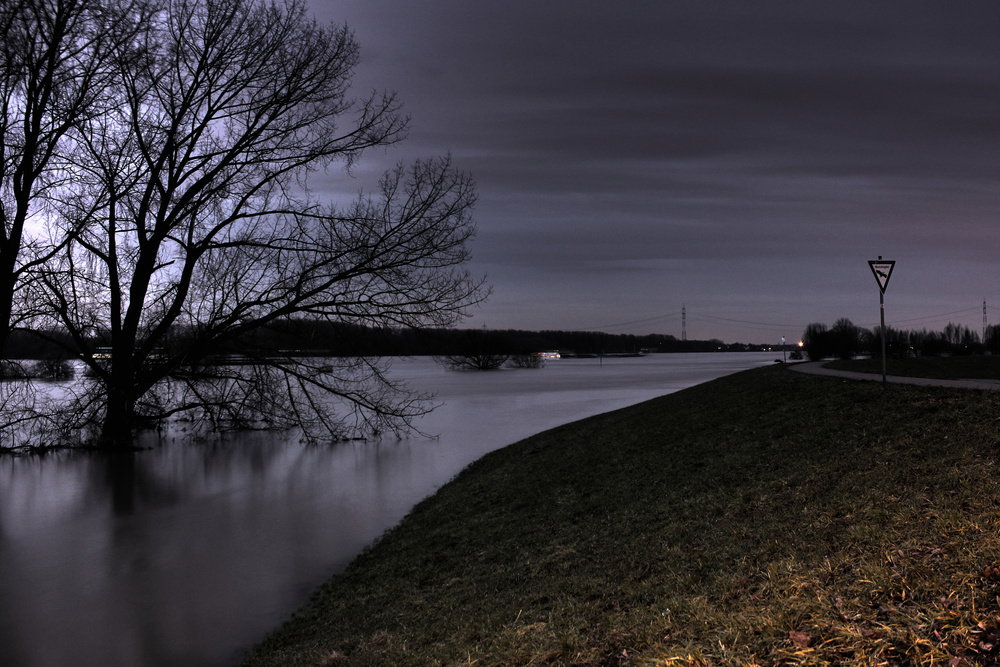 Hochwasser im Mondschein