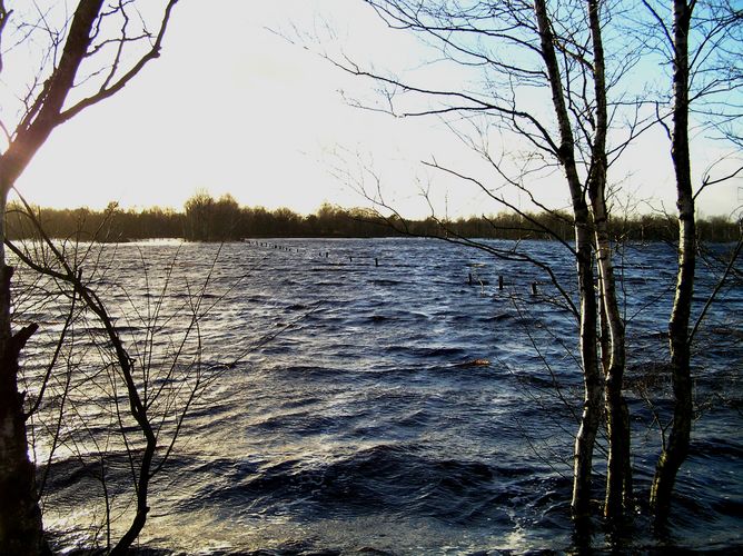 Hochwasser im Moor