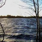 Hochwasser im Moor