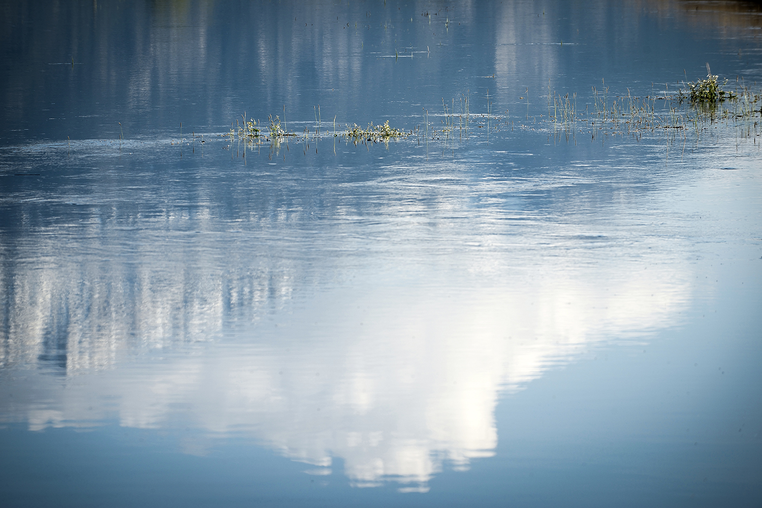 Hochwasser im Moos - 2