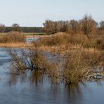 Hochwasser im Naturschutzgebiet