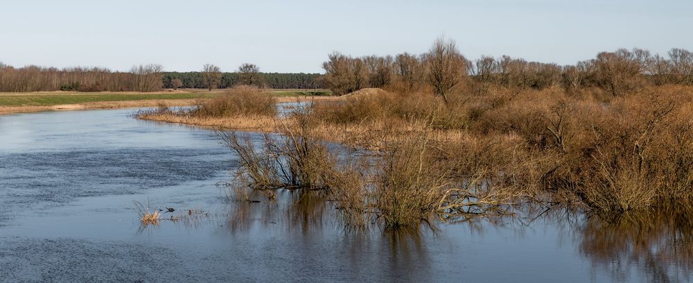 Hochwasser im Naturschutzgebiet