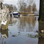 Hochwasser im Neusser Sporthafen