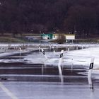 Hochwasser im Oderbruch