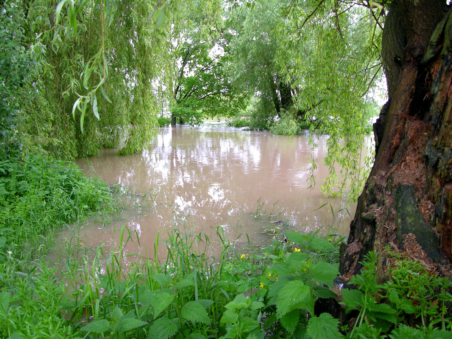 Hochwasser im Park
