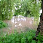 Hochwasser im Park