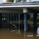 Hochwasser im rechtsrheinischen Rheinpark 3