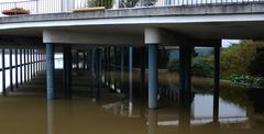 Hochwasser im rechtsrheinischen Rheinpark 3