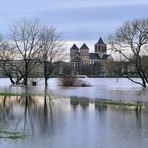 Hochwasser im rechtsrheinischen Rheinpark 4