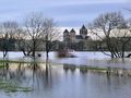 Hochwasser im rechtsrheinischen Rheinpark 4 von Günter Walther 