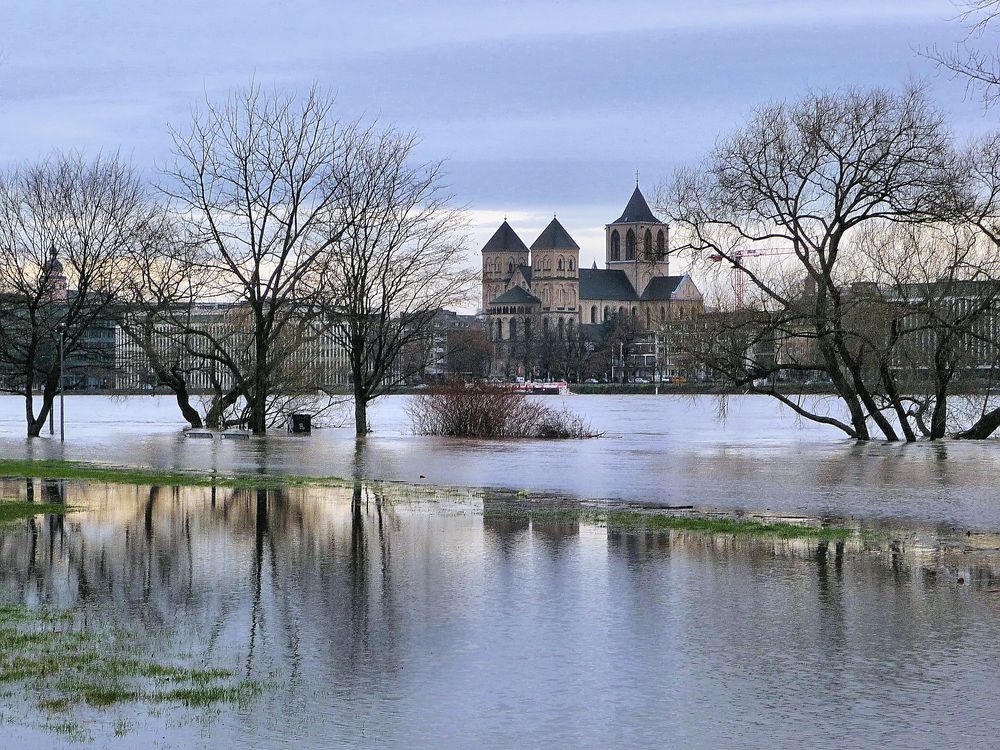 Hochwasser im rechtsrheinischen Rheinpark 4