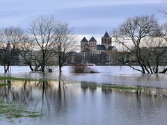 Hochwasser im rechtsrheinischen Rheinpark 4