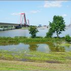 Hochwasser im Rhein bei Emmerich