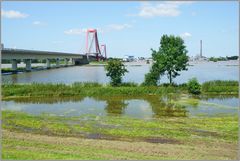 Hochwasser im Rhein bei Emmerich