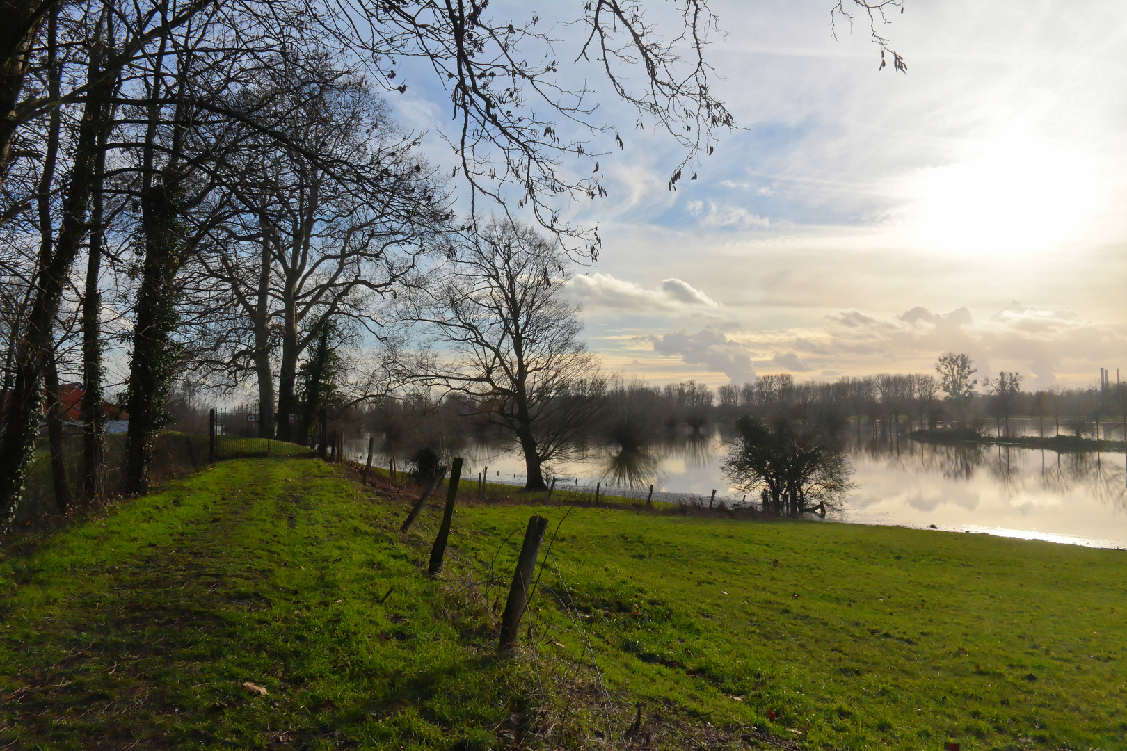 Hochwasser im Rheinbogen Himmelgeist