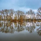 Hochwasser im Ried